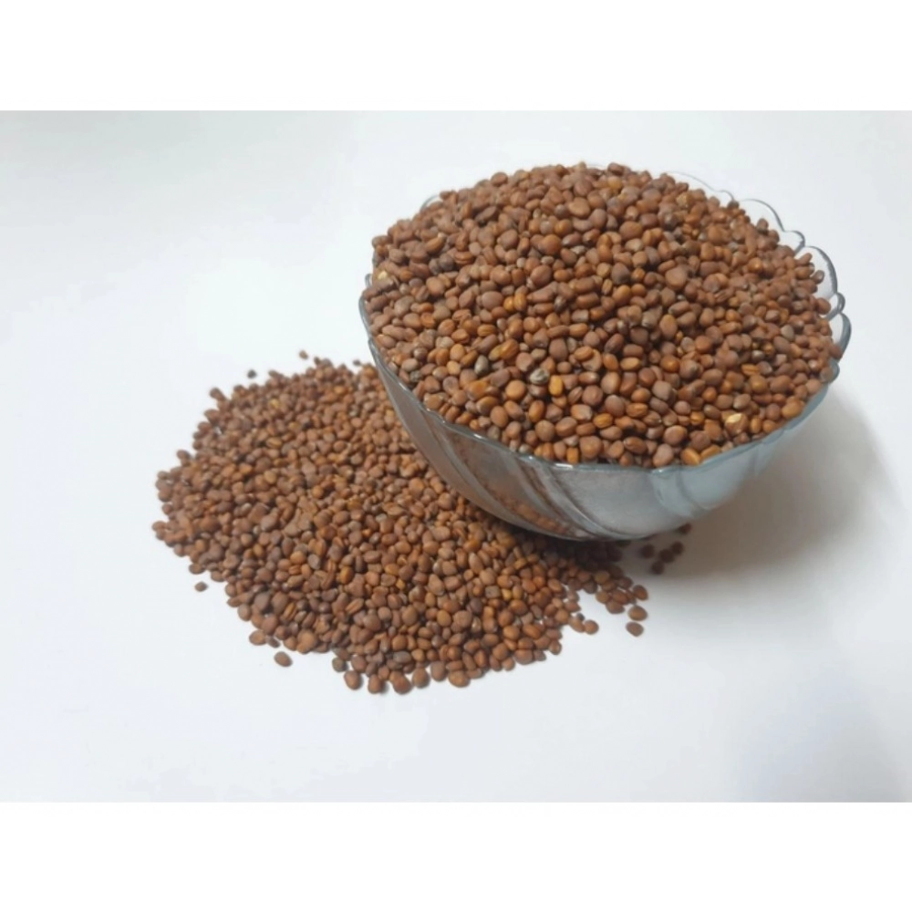 62900-1000x1000-1.webp Radish White Microgreen Seeds – Quick Growing, Perfect for Home Gardening - Image 1